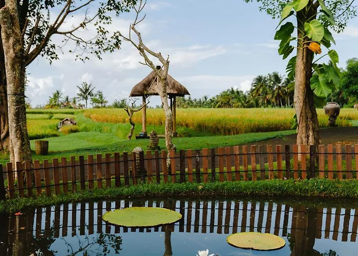 Resort Visesa And Ubud (Bali)